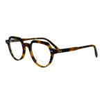Premium Acetate Crown Panto Eyeglasses